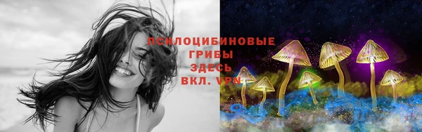 apvp Каменка