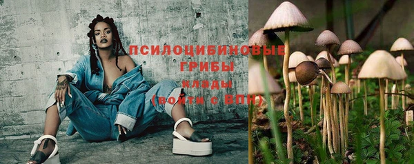 mdpv Кинешма