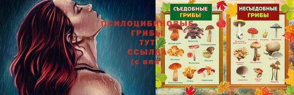 mdpv Кинешма